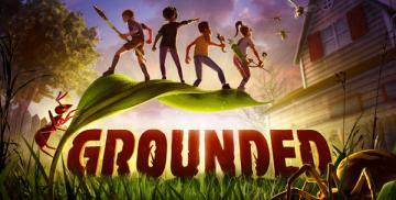 Grounded (Xbox)