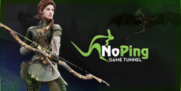 NoPing Game Tunnel Quarterly Subscription NoPing Key 