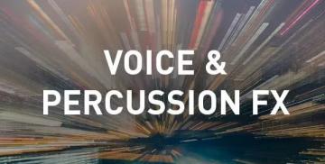 MAGIX Music Maker Voice and Percussion FX