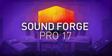MAGIX Sound Forge Pro 17