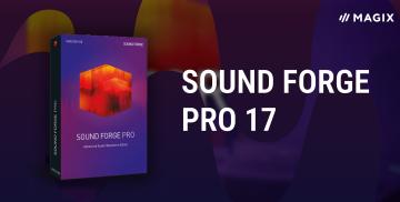 MAGIX Sound Forge Pro 17