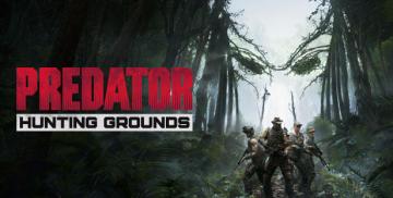 Predator Hunting Grounds (PC Epic Games Accounts)